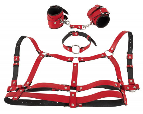 Заказать Красный комплект БДСМ-аксессуаров Harness Set