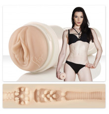 Мастурбатор-вагина Fleshlight Girls - Stoya Destroya