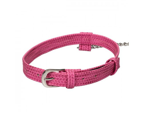 Заказать Розовый ошейник с поводком Tickle Me Pink Collar With Leash