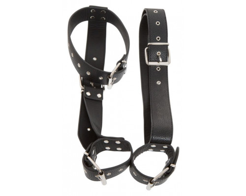 Заказать Фиксация на шею и запястья Bad Kitty Neck and Hand Restraints