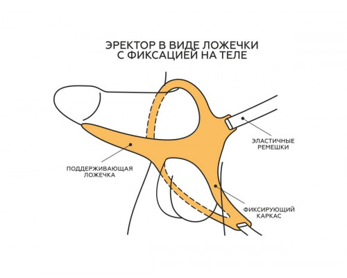 Заказать Телесный эректор-ложечка с фиксацией на ремешках MEN STYLE