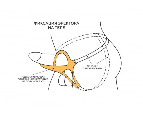 Заказать Телесный эректор-ложечка с фиксацией на ремешках MEN STYLE