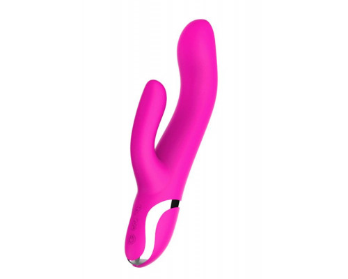 Заказать Розовый вибратор-кролик NAGHI NO.43 RECHARGEABLE DUO VIBRATOR - 23 см.