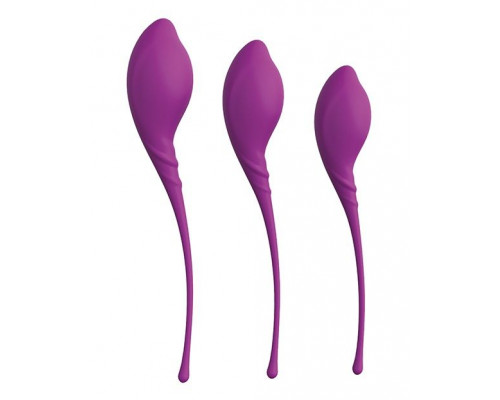 Заказать Набор из 3 фиолетовых вагинальных шариков PLEASURE BALLS   EGGS KEGEL EXERCISE SET